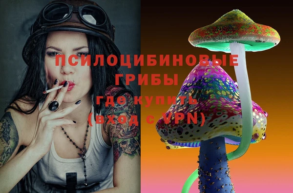 экстази Козельск