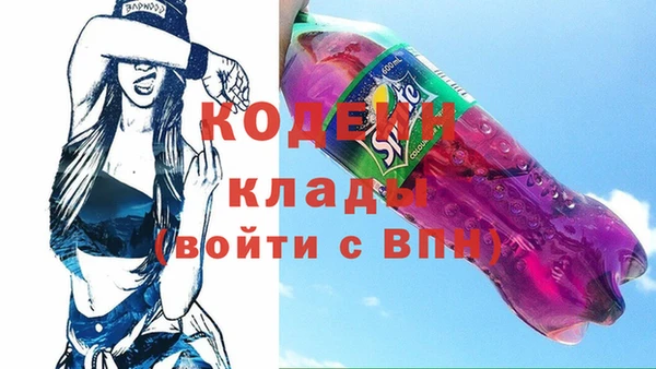 соль ск Козловка