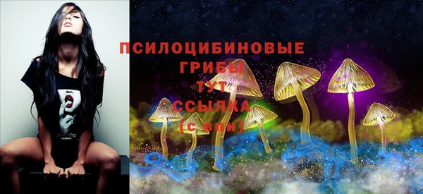 соль ск Козловка
