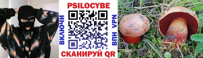 Псилоцибиновые грибы Magic Shrooms  Купить где  Глазов 